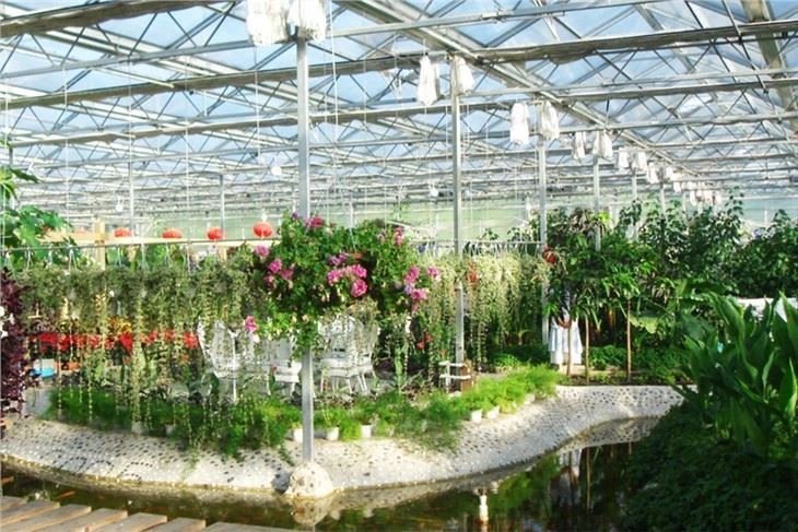 tropical fruit greenhouse