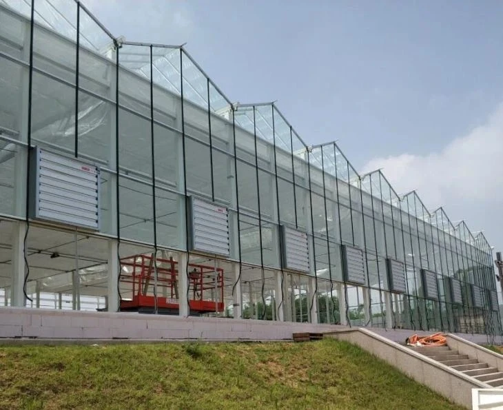 Venlo Glass Greenhouse