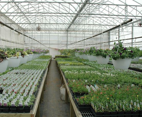 Wide-span Greenhouse